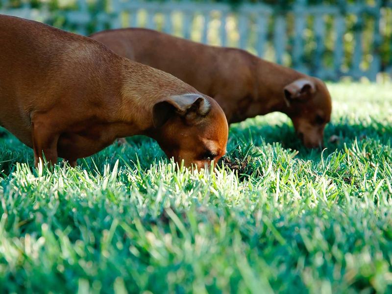 印度阶梯井<br>ujcbtdu.cn 月亮水井倒影